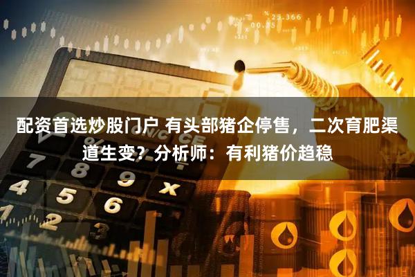 配资首选炒股门户 有头部猪企停售，二次育肥渠道生变？分析师：有利猪价趋稳