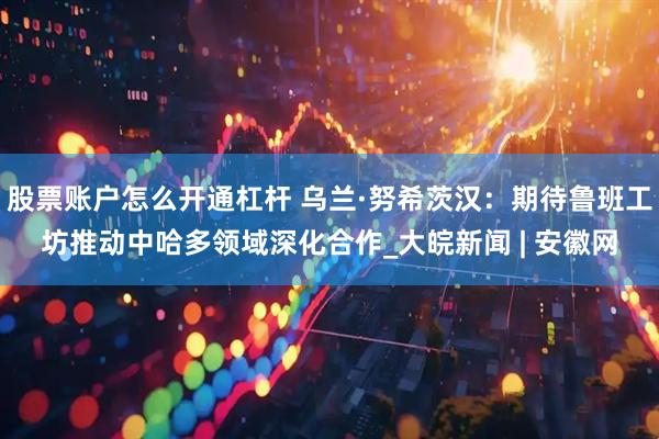 股票账户怎么开通杠杆 乌兰·努希茨汉：期待鲁班工坊推动中哈多领域深化合作_大皖新闻 | 安徽网