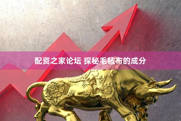 配资之家论坛 探秘毛毡布的成分